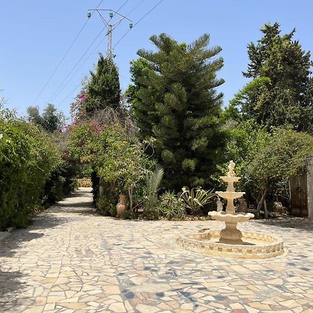 Dar Beldi Hotel Hammamet Ngoại thất bức ảnh
